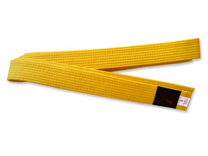Ceinture Arts Martiaux - Karaté, Judo, Taekwondo, Ju-jitsu - Toutes Couleurs Grades - Junior 240cm / Senior 280cm